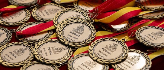 Klarer Sieg mit 4:0 für Sandhausen